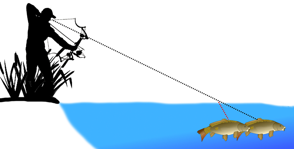 What Is Bowfishing — Beginner's Guide + Regulation And Tips