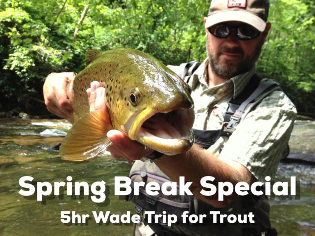 Cherokee Fly Fishing, Bryson City Fly Fishing,Fly Fishing Guides Great Smoky Mountains Gatlinburg Pigeon Forge Cherokee Bryson City Trout Fishing Guides