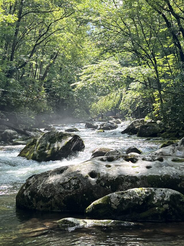 Little River, Great Smoky Mountains National Park