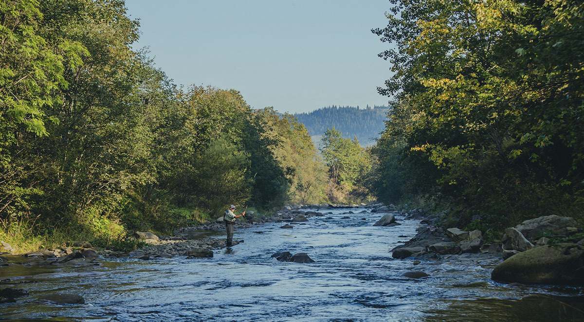Fly Fishing in the Pisgah National Forest
