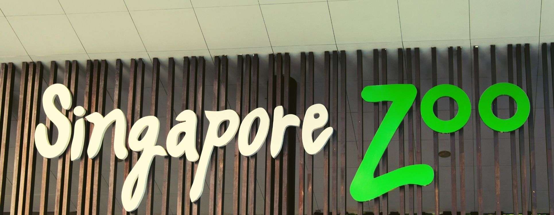 Singapore Zoo Tickets Buy Ticket For Singapore Zoo Ticket Online FFH