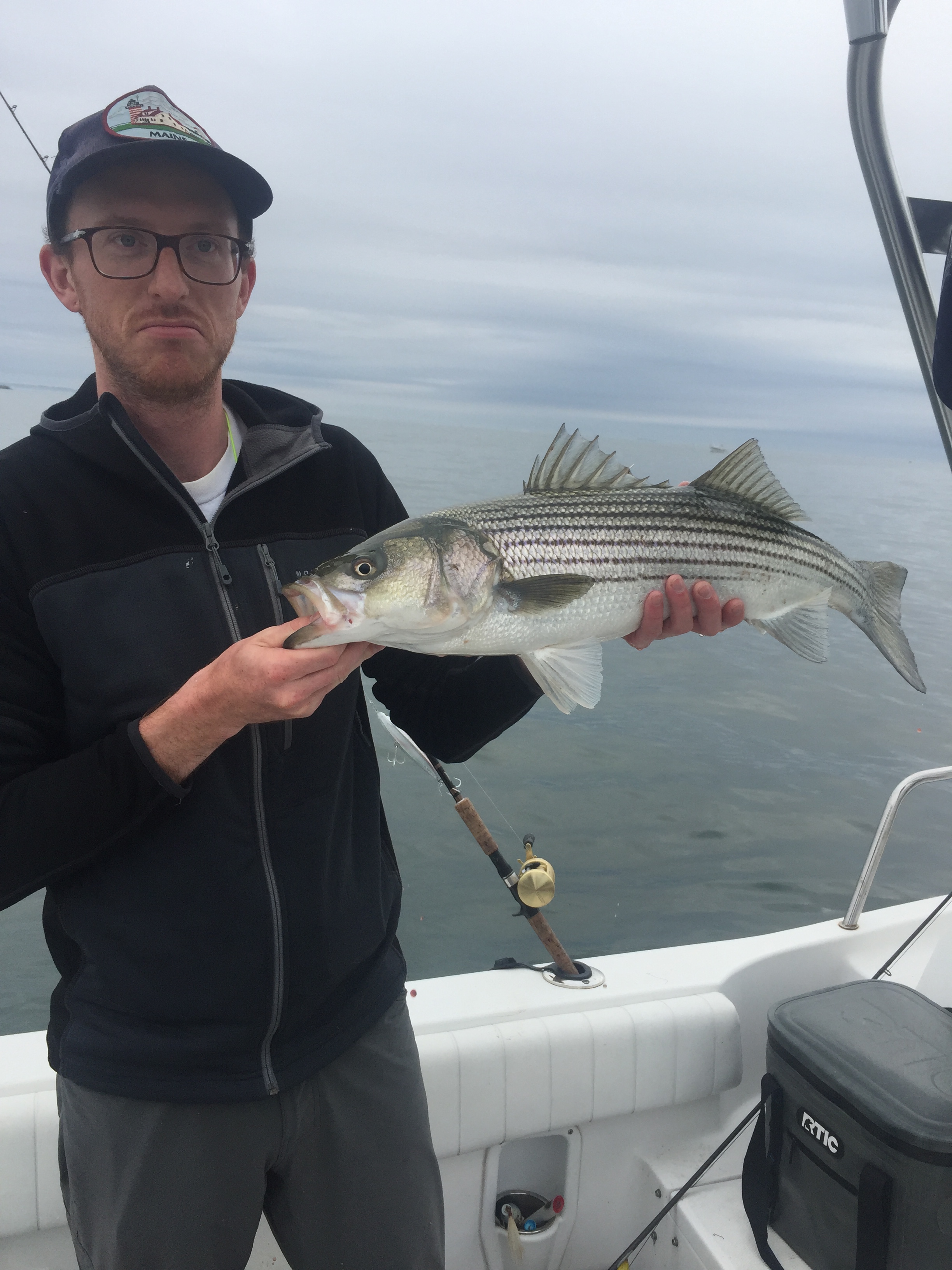 low 30s striper on live mackerel in Boston Harbor Fly Fishing Boston