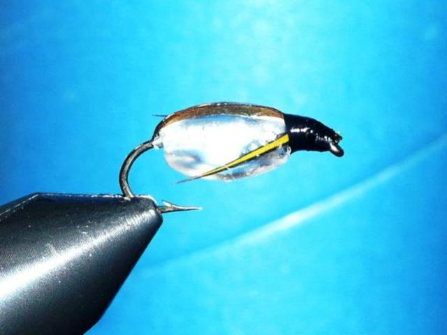 Best Fly Patterns Proven BC Fly Fishing Flies Patterns & Tying