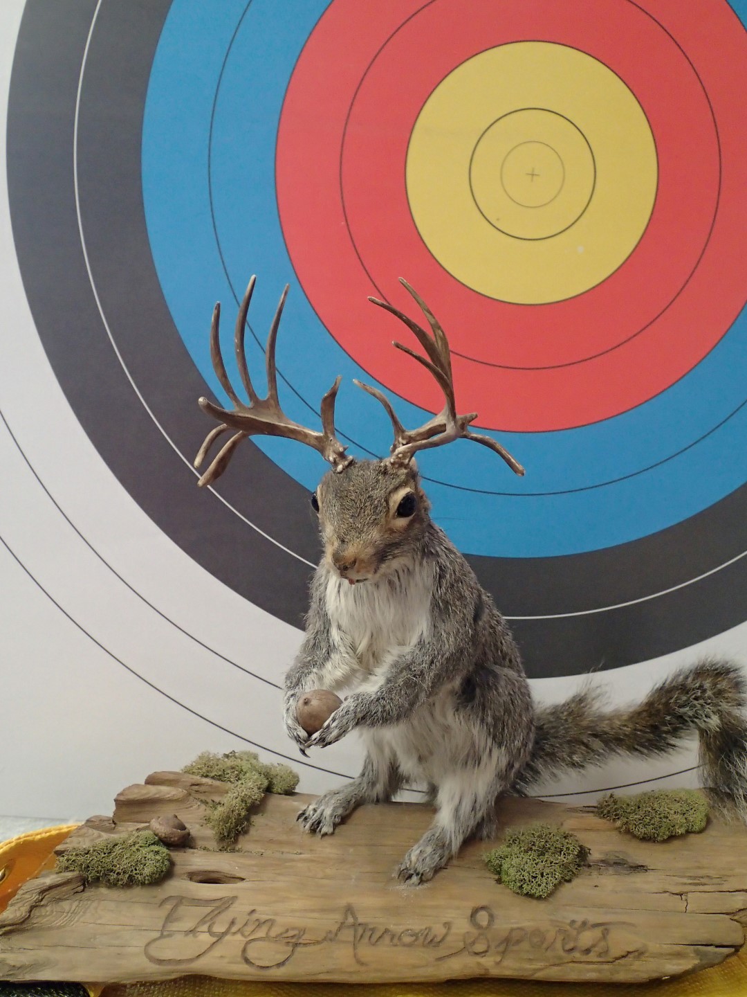 Flying Arrow Sports NY's Premier Archery Pro Shops