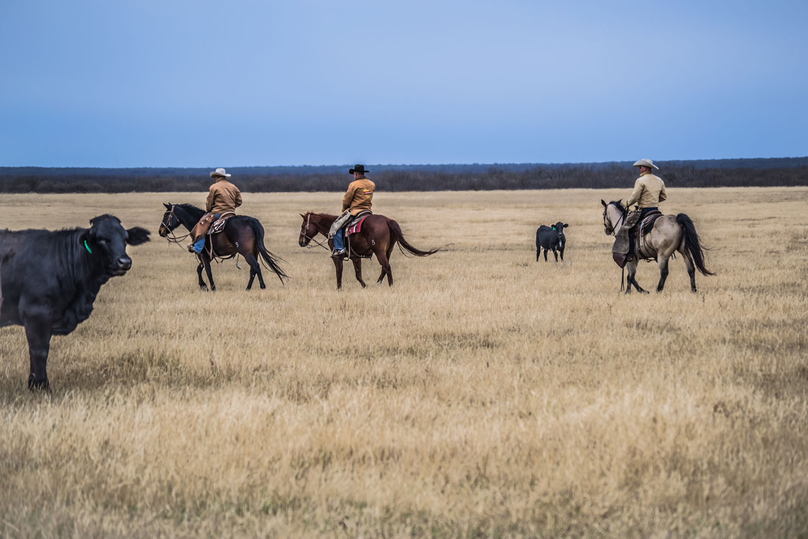 Chaparrosa Ranch Flying B Ranches South Texas Plains