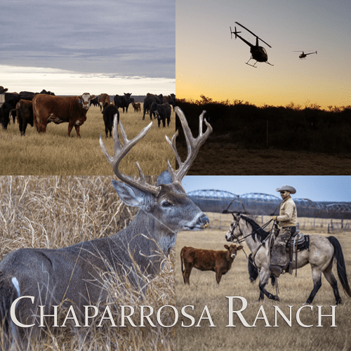 Home Flying B Ranches Chaparrosa Ranch Rancho del Cielo