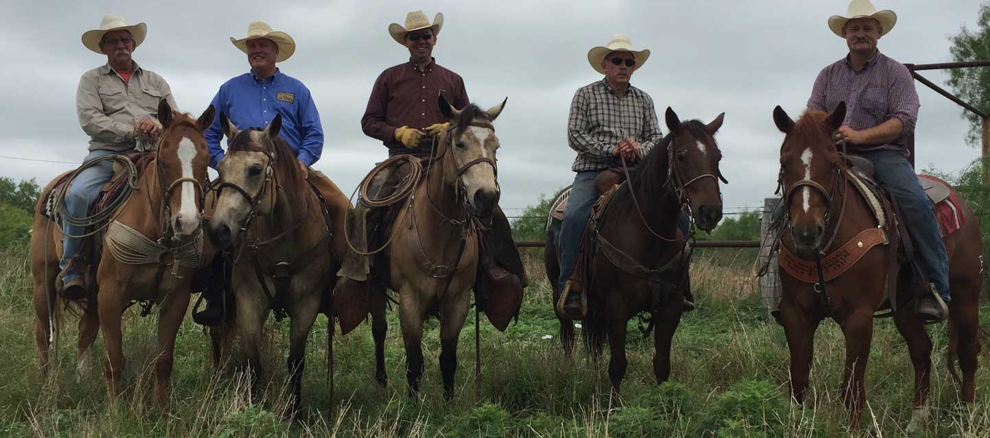 Horse Flying B Ranches Chaparrosa Ranch South Texas Plains