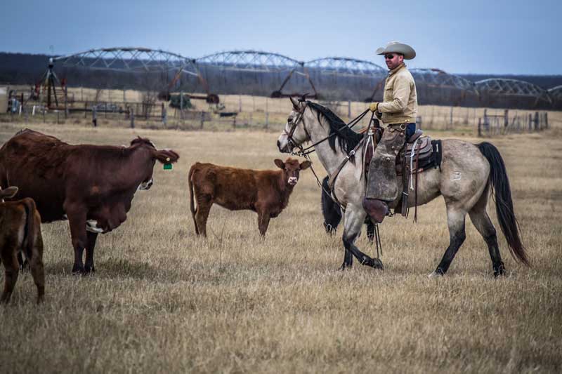 Chaparrosa Ranch Flying B Ranches South Texas Plains