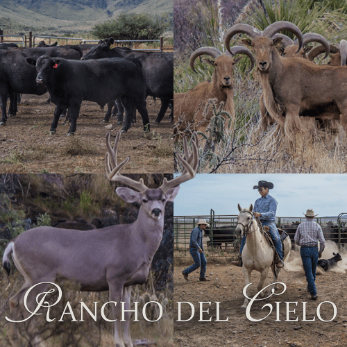 Home Flying B Ranches Chaparrosa Ranch Rancho del Cielo
