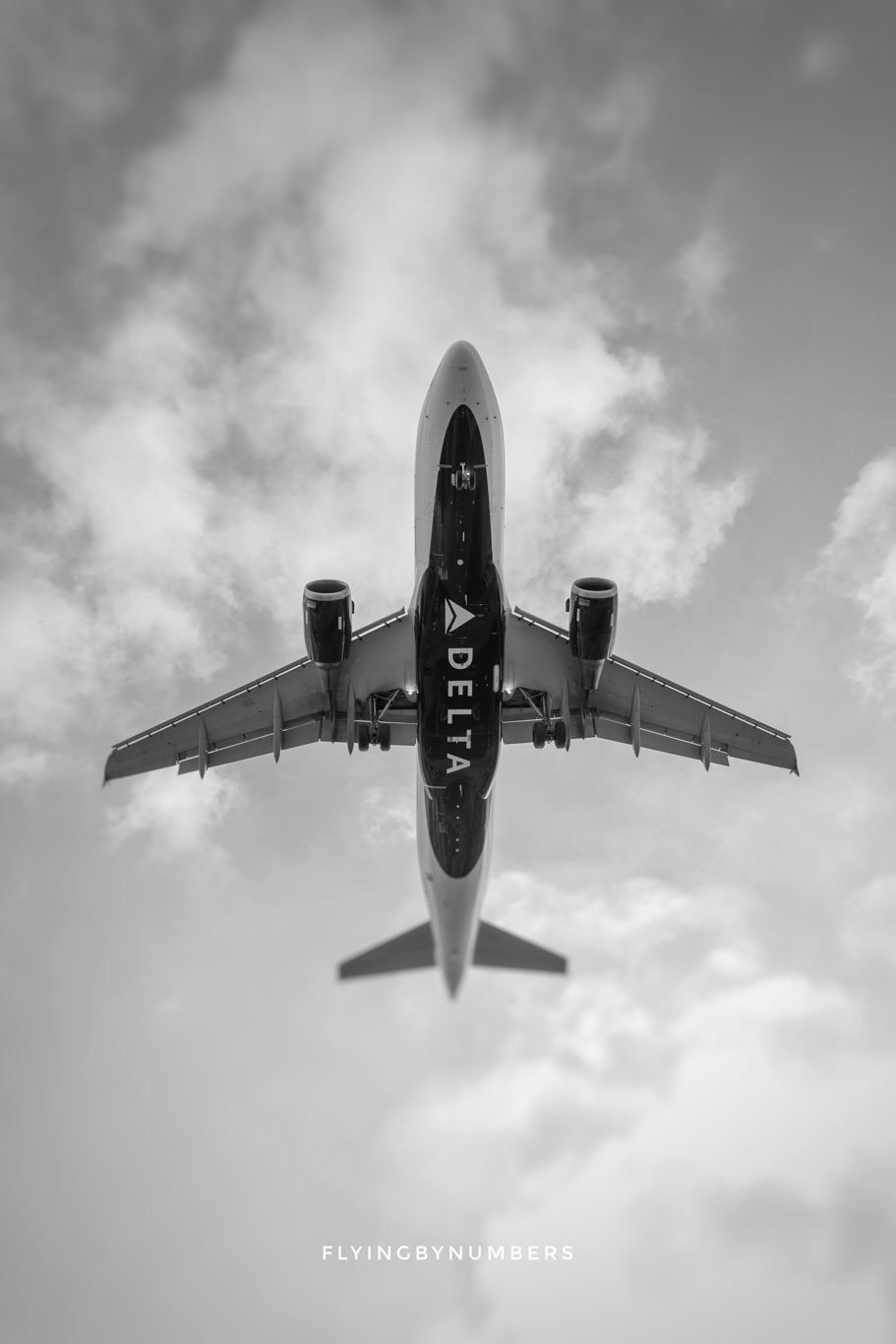 Maximum Age Limits for Cabin Crew How Old Can You Be to Work as a