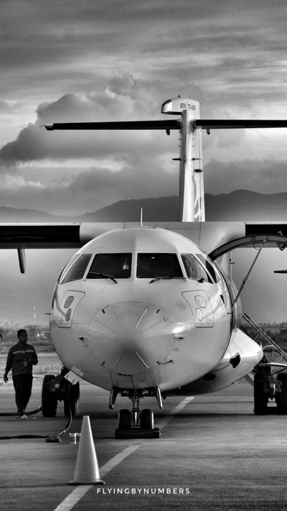 What is a safety pilot?