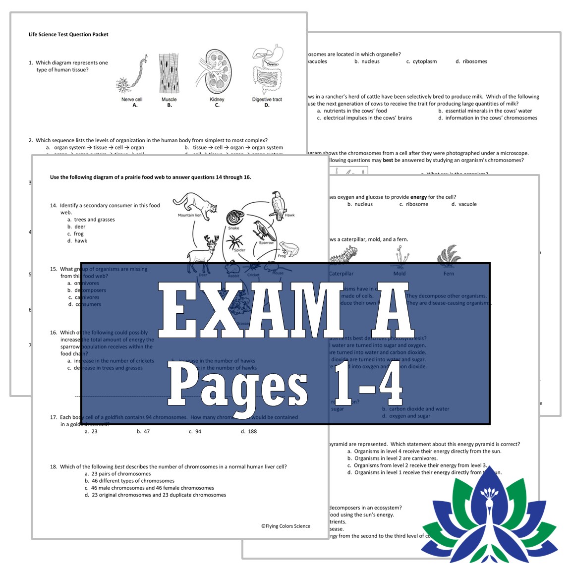 Biology Life Science FINAL EXAM Flying Colors Science