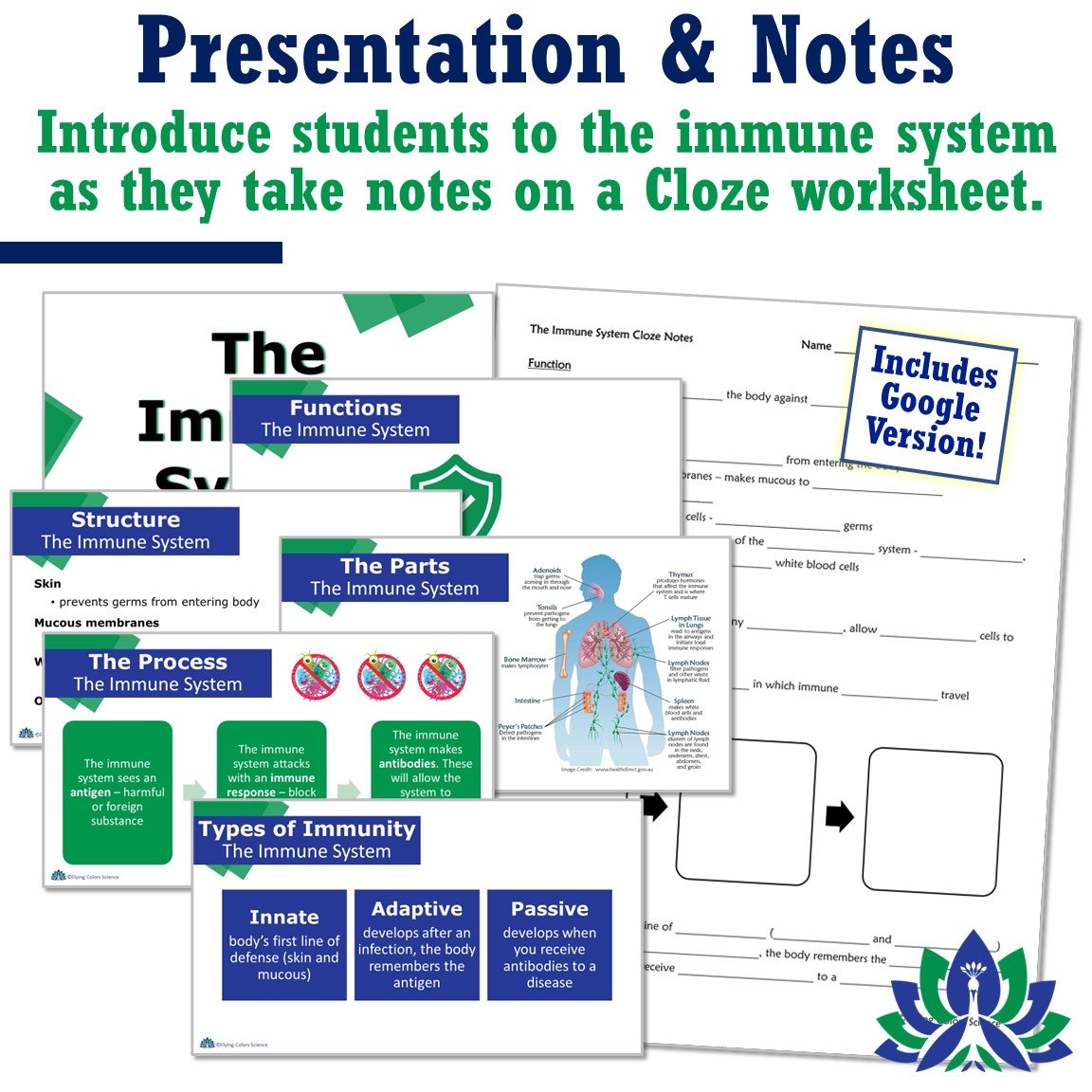 Immune System Notes and Quiz Flying Colors Science