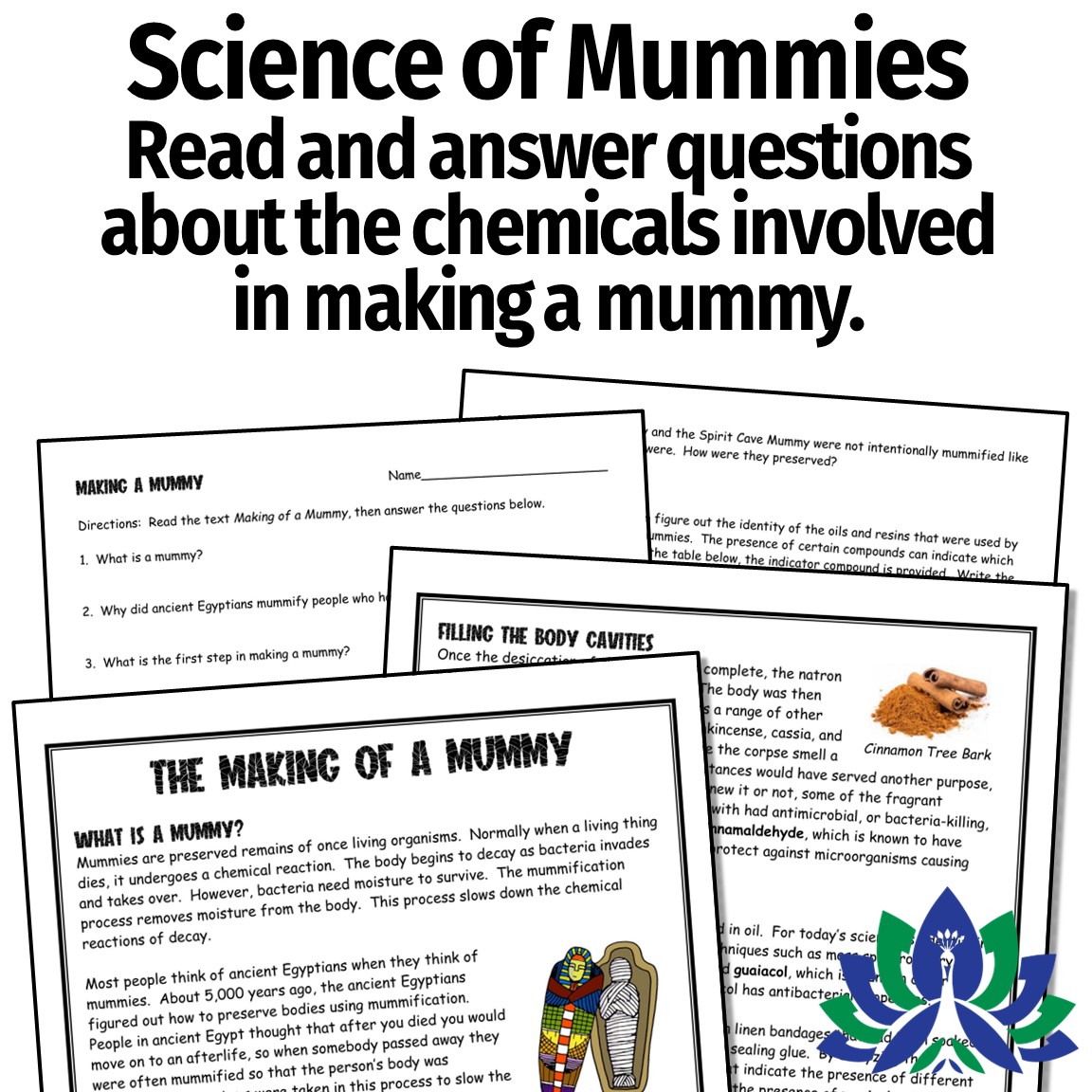 Set of 3 Halloween Science Articles for Middle School Flying Colors