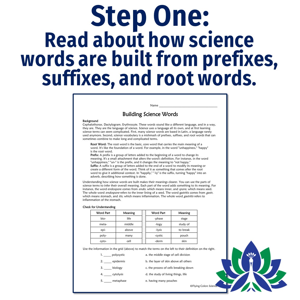 Science Vocabulary Activity Flying Colors Science