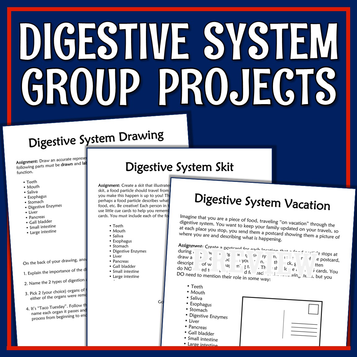 Digestive System Project - Flying Colors Science