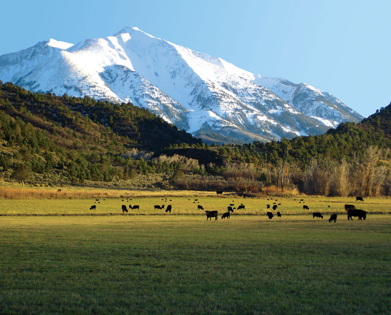 Wedding Venue Carbondale Colorado Flying Dog Ranch Retreat