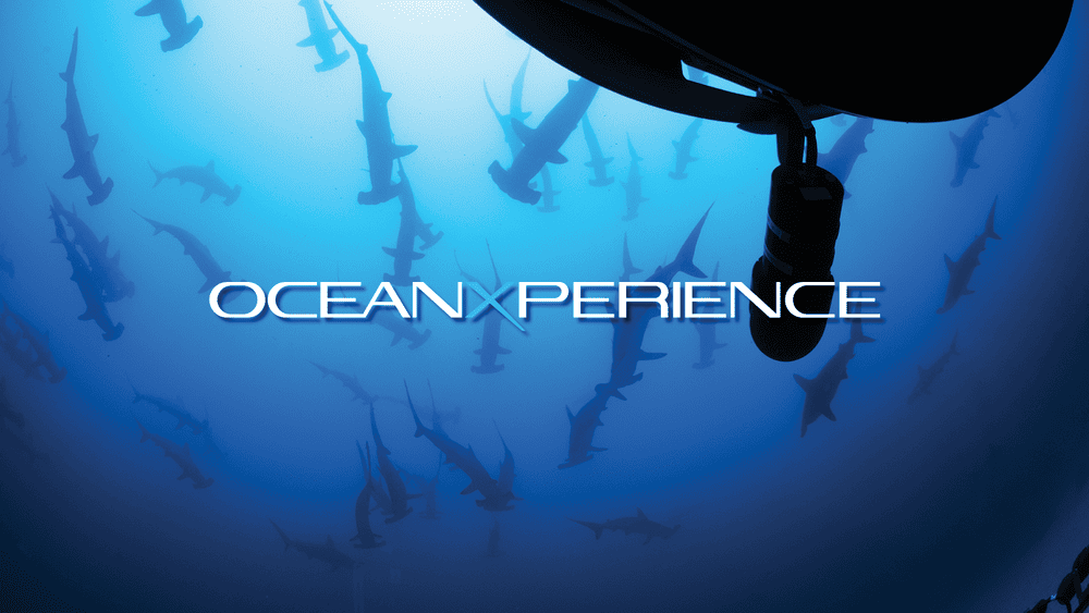 OceanX and Flying Fish Announce Immersive, OneofaKind Ocean Exploration Touring Museum