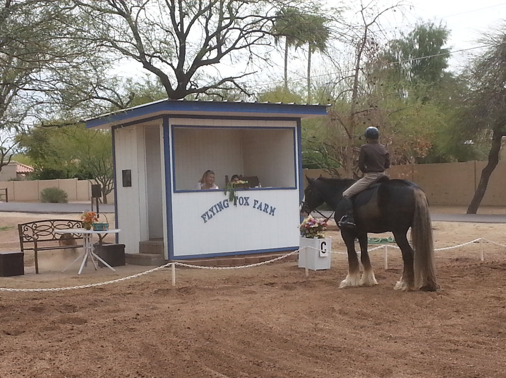 Flying Fox Farm, Horse boarding and Training in Scottsdale, Arizona