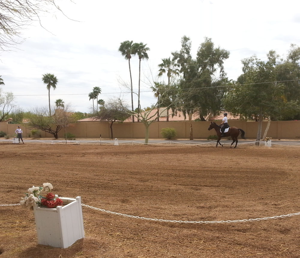 Flying Fox Farm, Horse boarding and Training in Scottsdale, Arizona