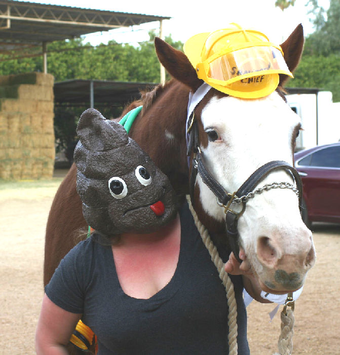 Flying Fox Farm, Horse boarding and Training in Scottsdale, Arizona