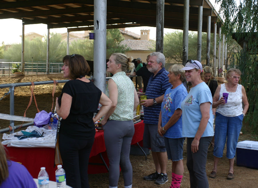 Flying Fox Farm, Horse boarding and Training in Scottsdale, Arizona