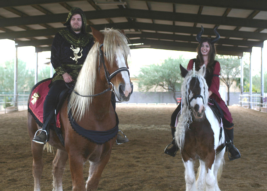 Flying Fox Farm, Horse boarding and Training in Scottsdale, Arizona