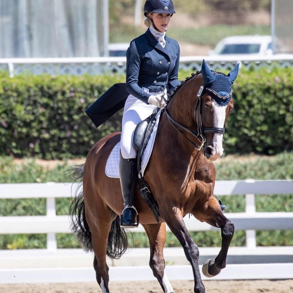 Flying Fox Farm, Horse boarding and Training in Scottsdale, Arizona