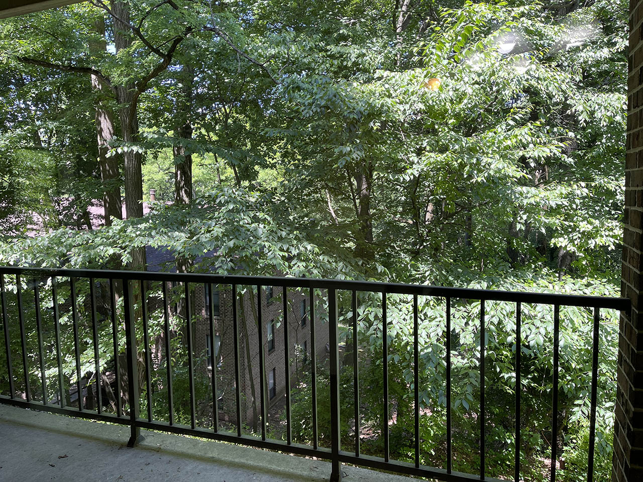 RENTED 9B St Andrews Circle Flying Hills