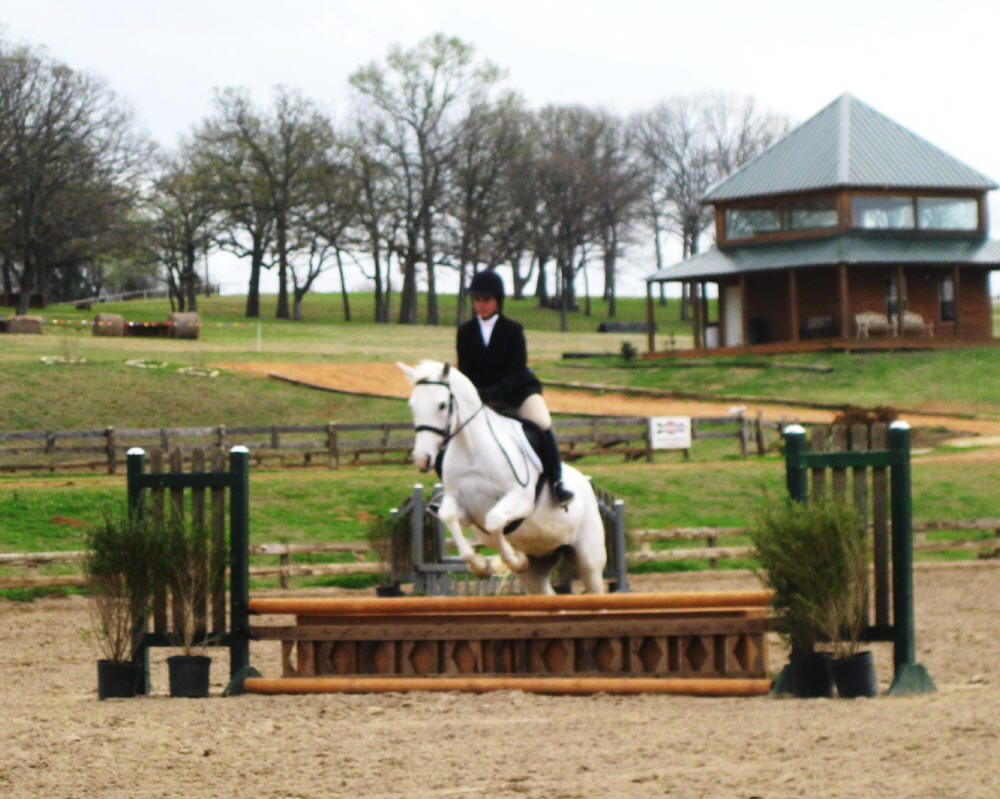 to the Flying M Stables, Athens, TX Links