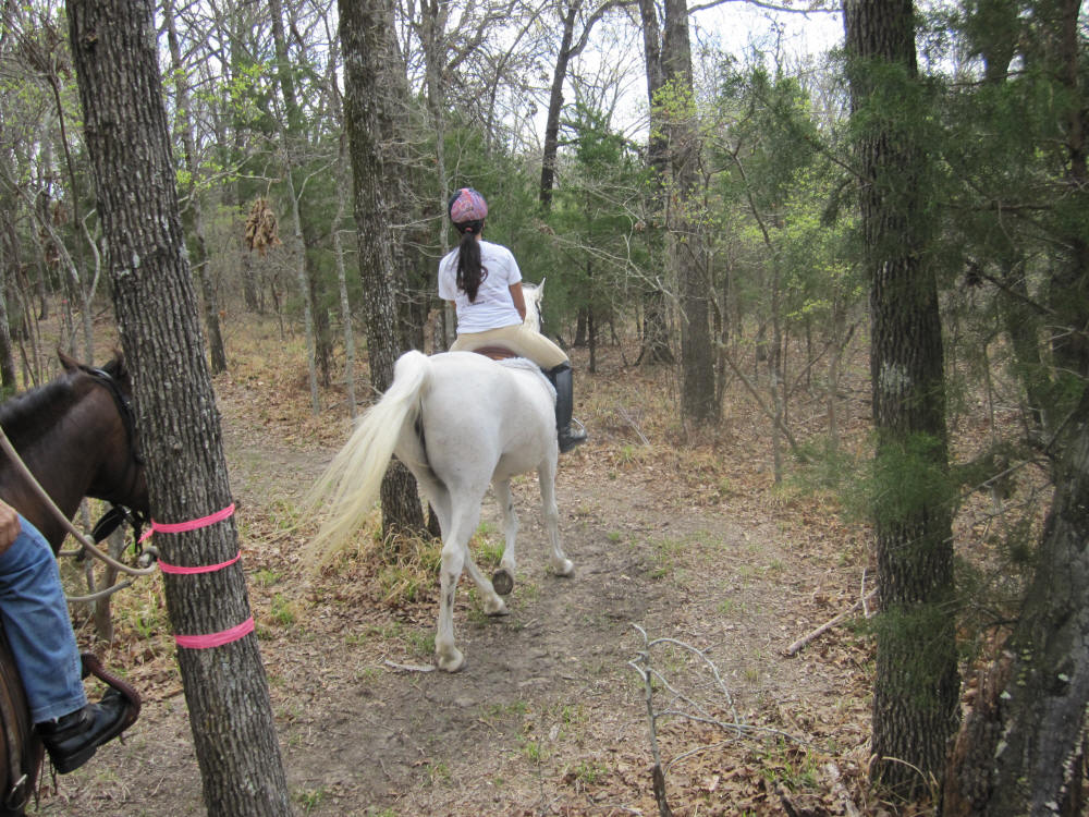 to the Flying M Stables, Athens, TX