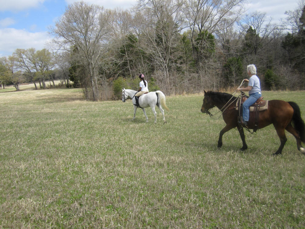 to the Flying M Stables, Athens, TX