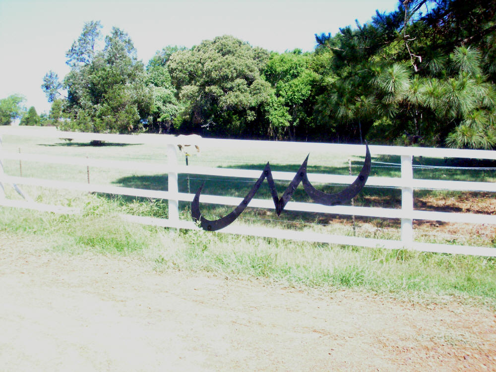 to the Flying M Stables, Athens, TX
