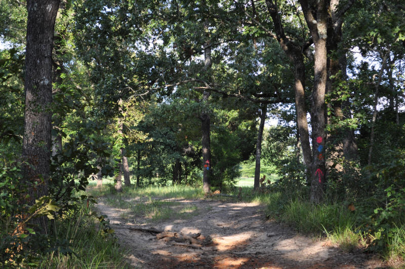 to the Flying M Stables, Athens, TX