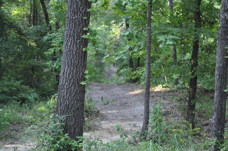 to the Flying M Stables, Athens, TX