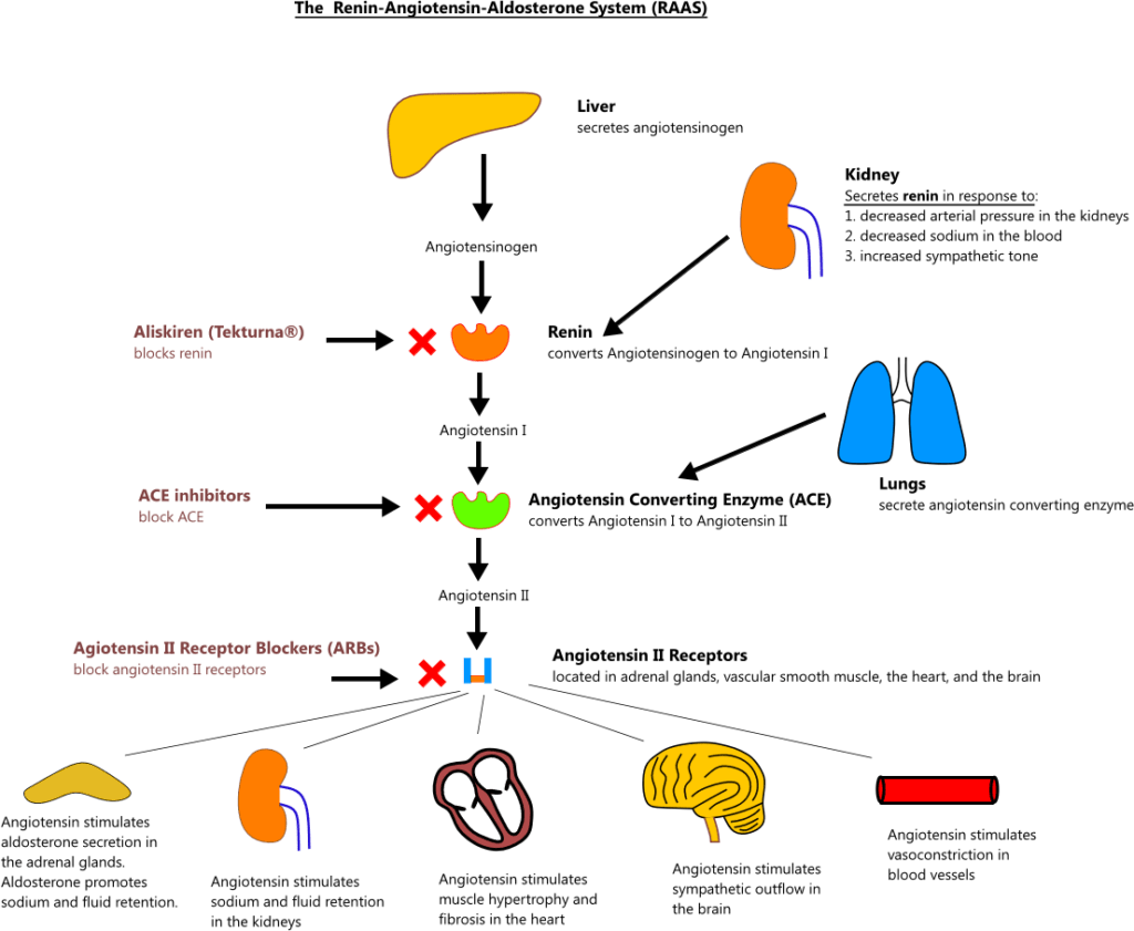 Treating a TCM Diagnosis of Dampness