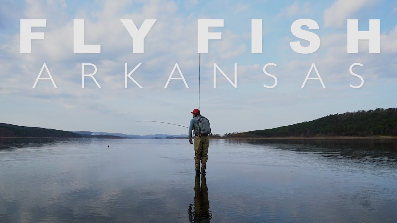 Video of the Week Fly Fish Arkansas Flylords Mag