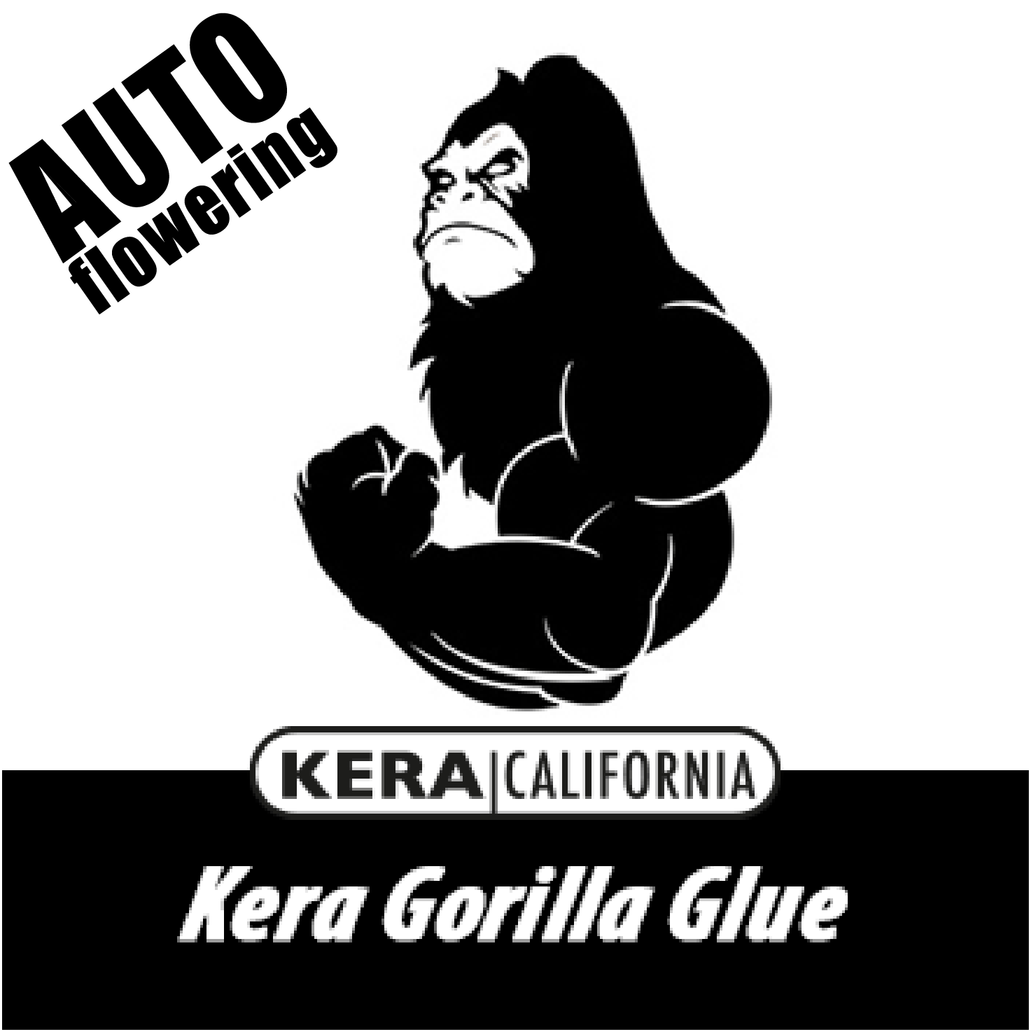 Kera Gorilla Glue AUTO Fly'n High