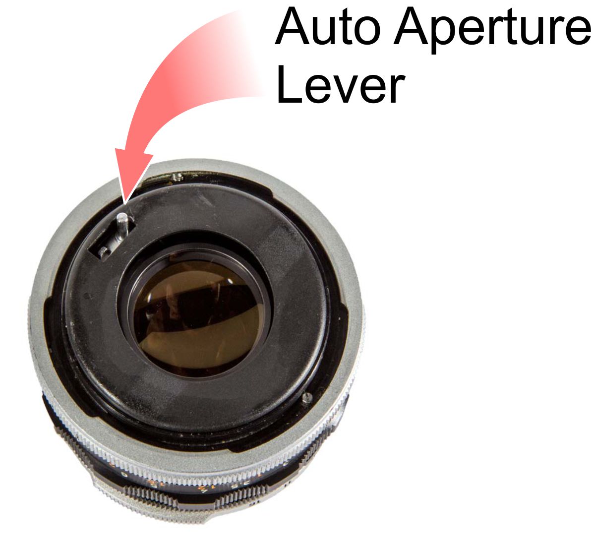 FL Series - FlynnGraphics