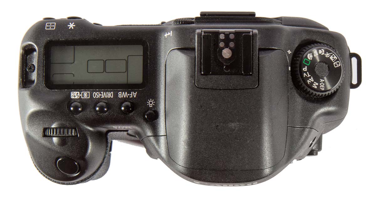 Canon 10D - FlynnGraphics