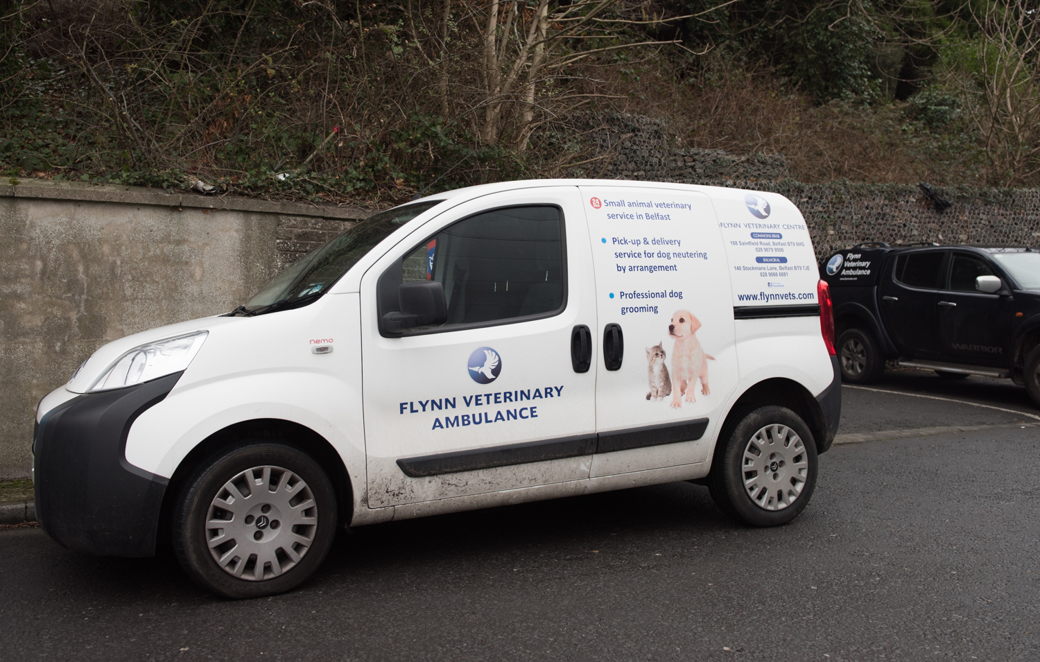 Emergency Vet & Out Of Hours Vets In Belfast Flynn Vets