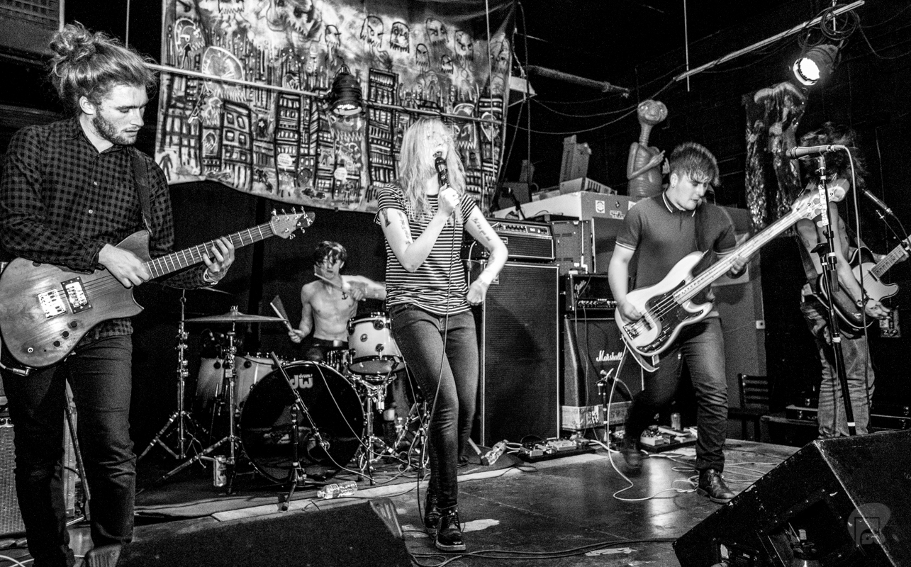 The COMPASS Boise, ID Flypaper