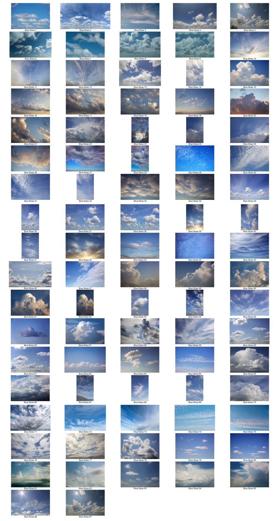 Flypaper Skies Launch