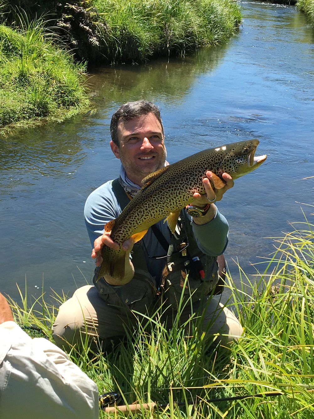Trout Paradise in New Zealand’s North Island FlyStream