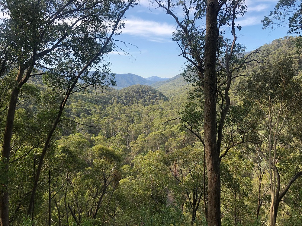 Back to Northeast Victoria FlyStream