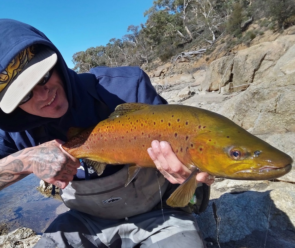 Jindabyne where there’s food, there’s fish FlyStream