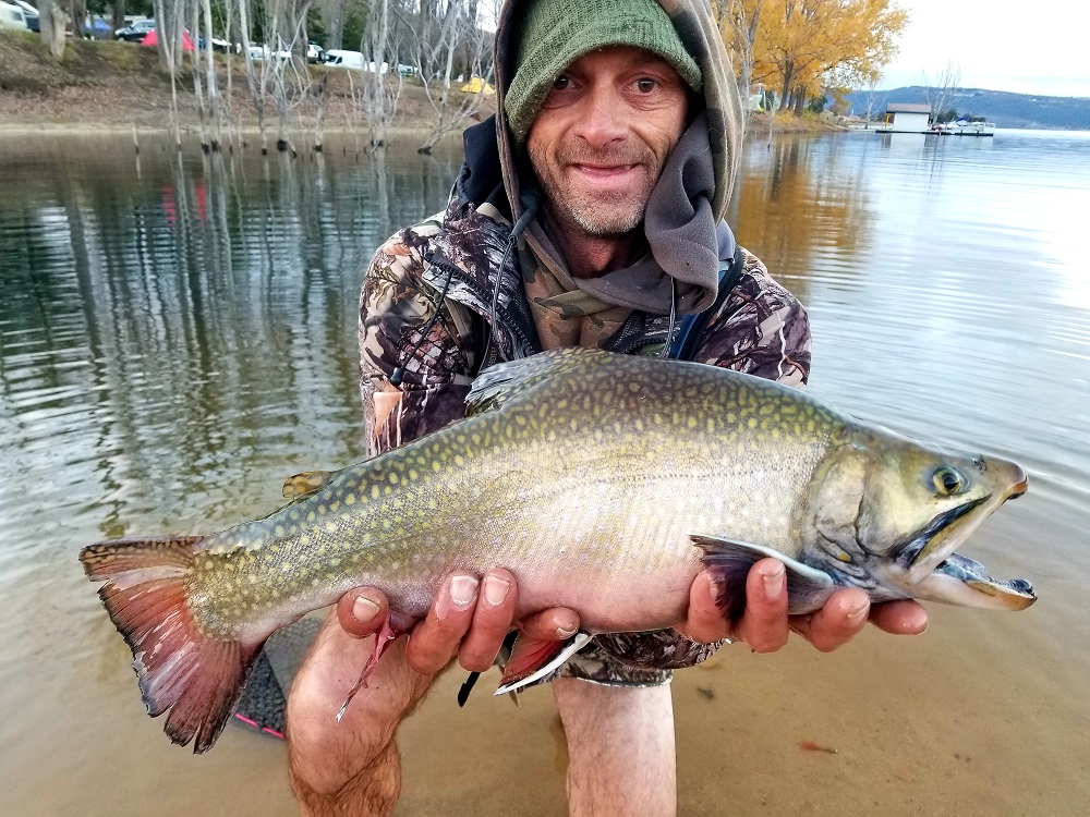 Snowies Update Winter’s Here FlyStream