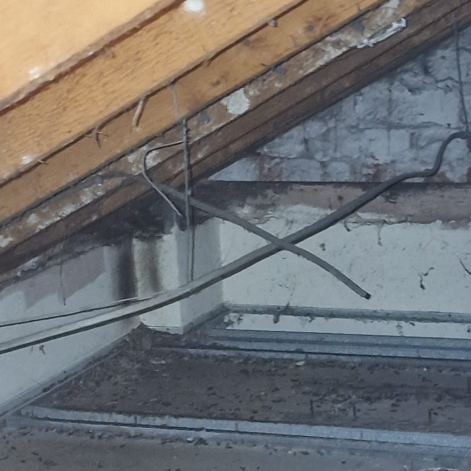 Loft Clearance Belfast Flytech Pest Control