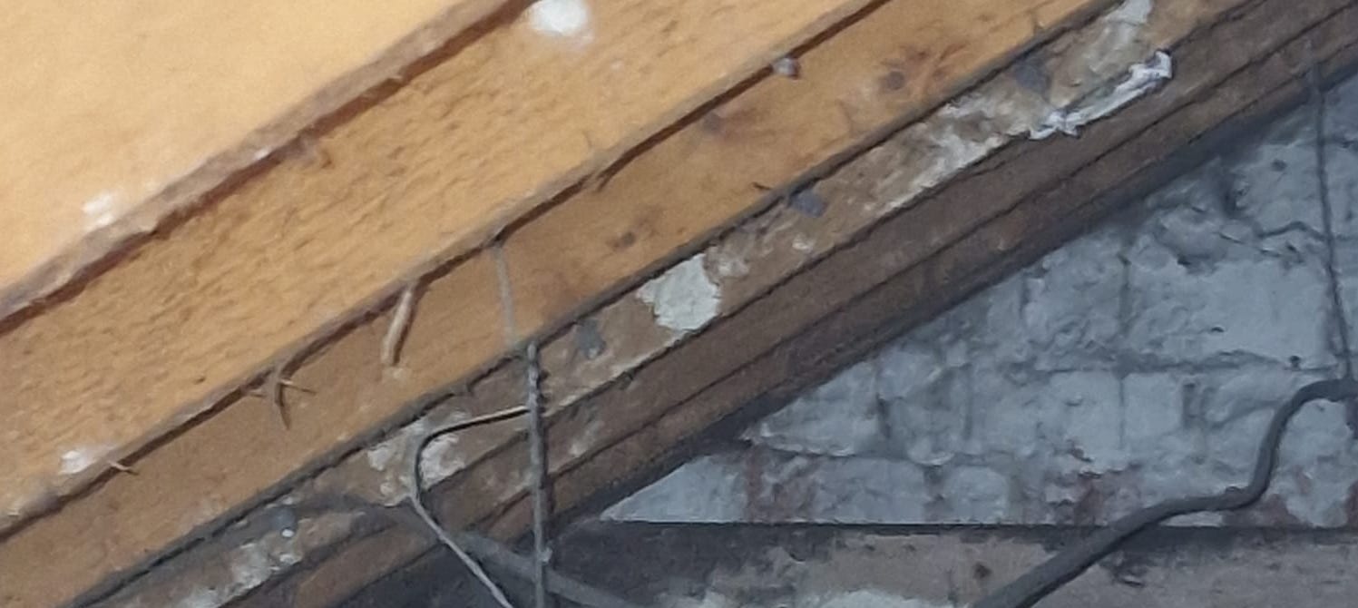 Loft Clearance Belfast Flytech Pest Control