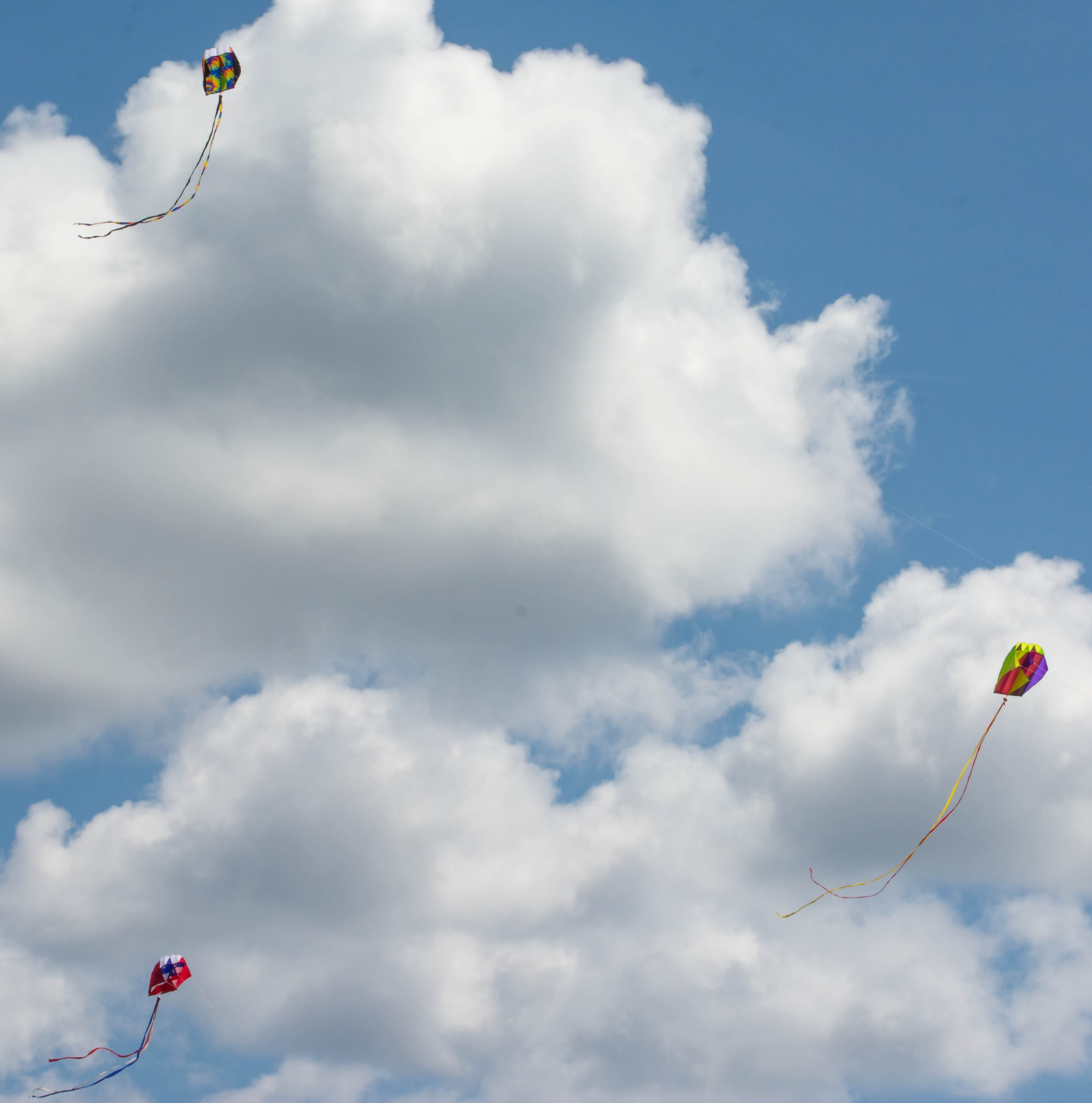 Fly Together with Kitty Hawk Kites